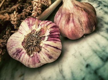garlic 139659 1 garlic 139659 1