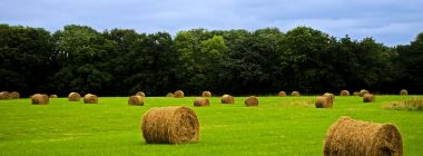 agricultural 72114 1280 agricultural 72114 1280