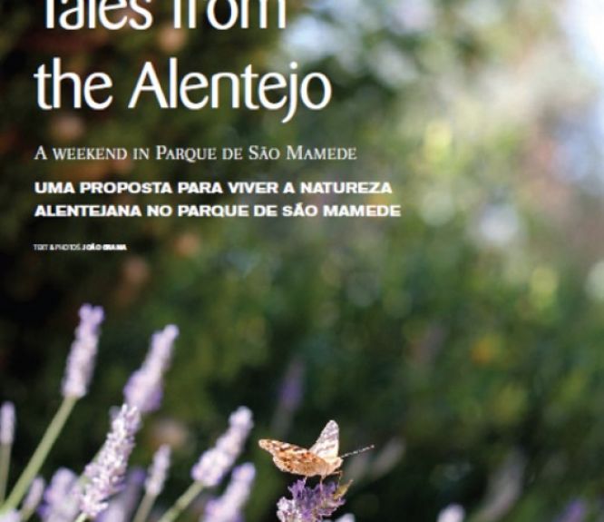 Tales from the Alentejo