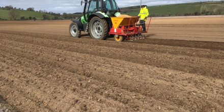 2020 Onion Harvest