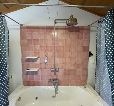Banheira de hidromassagem e duche da casa de banho